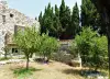 Venezia Garden of our guest house for sale in south France - Perpignan (20).webp